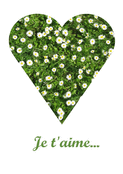 Un c&oelig;ur en fleurs pour dire je t'aime